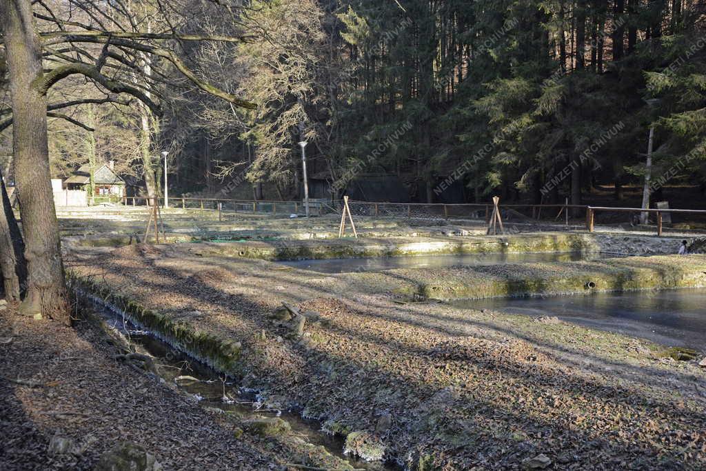 Halgazdaság - Szilvásvárad - Pisztrángtelep a Szalajka-völgyben