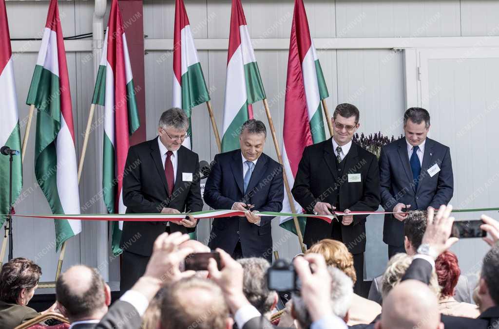 Baromfitelepet és tojáscsomagoló üzemet adtak át Lajosmizsén