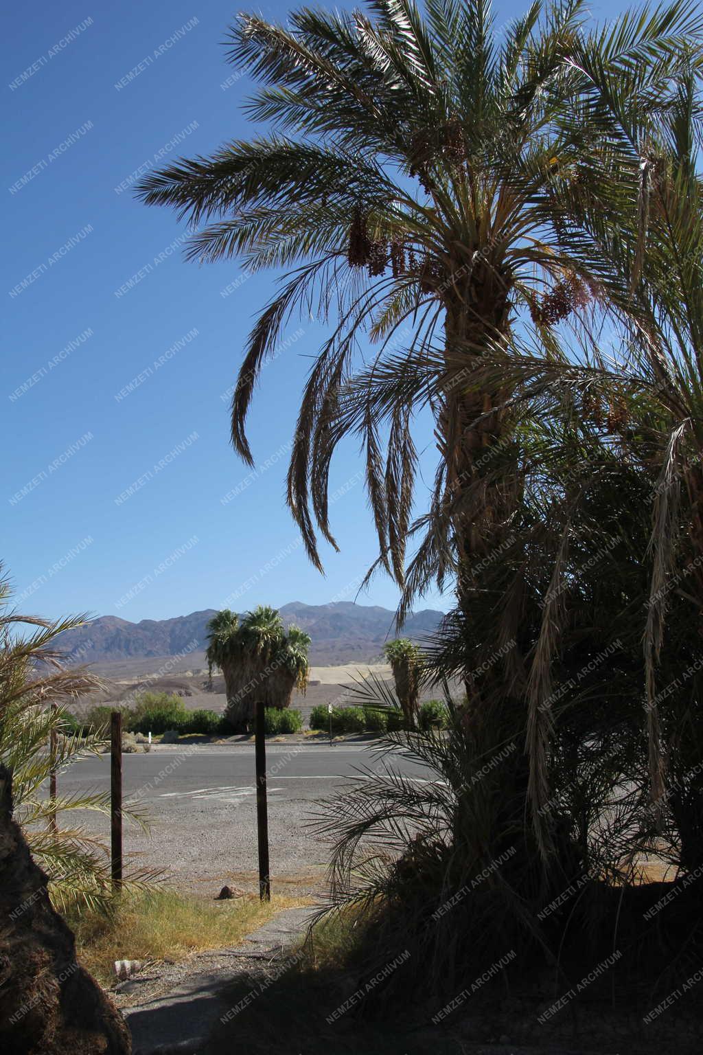 Tájkép - Death Valley