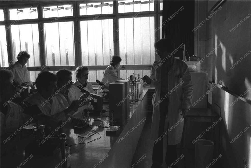 Pillanatkép a SOTE életéből