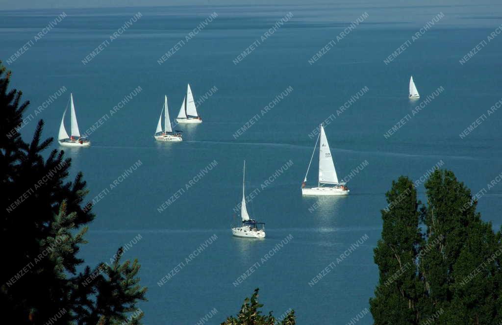 Tájkép - Tihany - Vitorlások a Balatonon