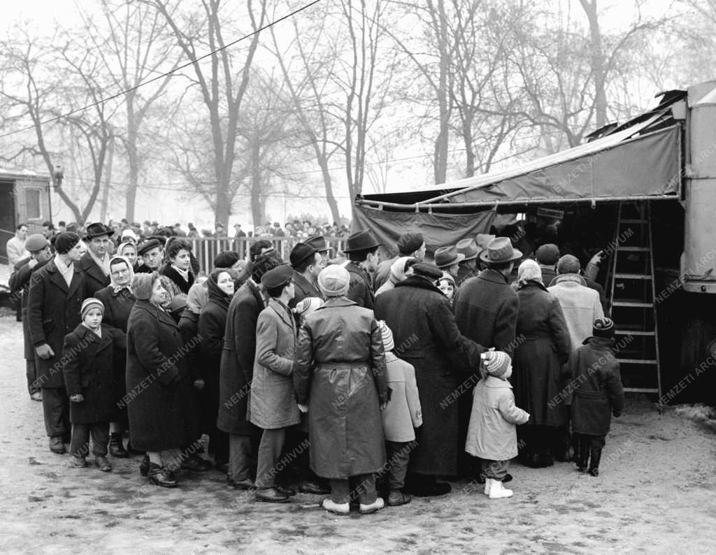 Érdekesség - Góliáth, az óriásbálna Budapesten