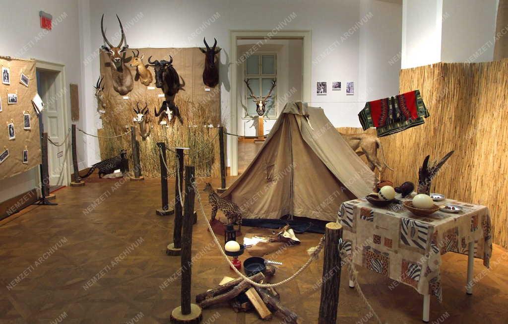 Kultúra - Hatvan - Vadászati múzeum 