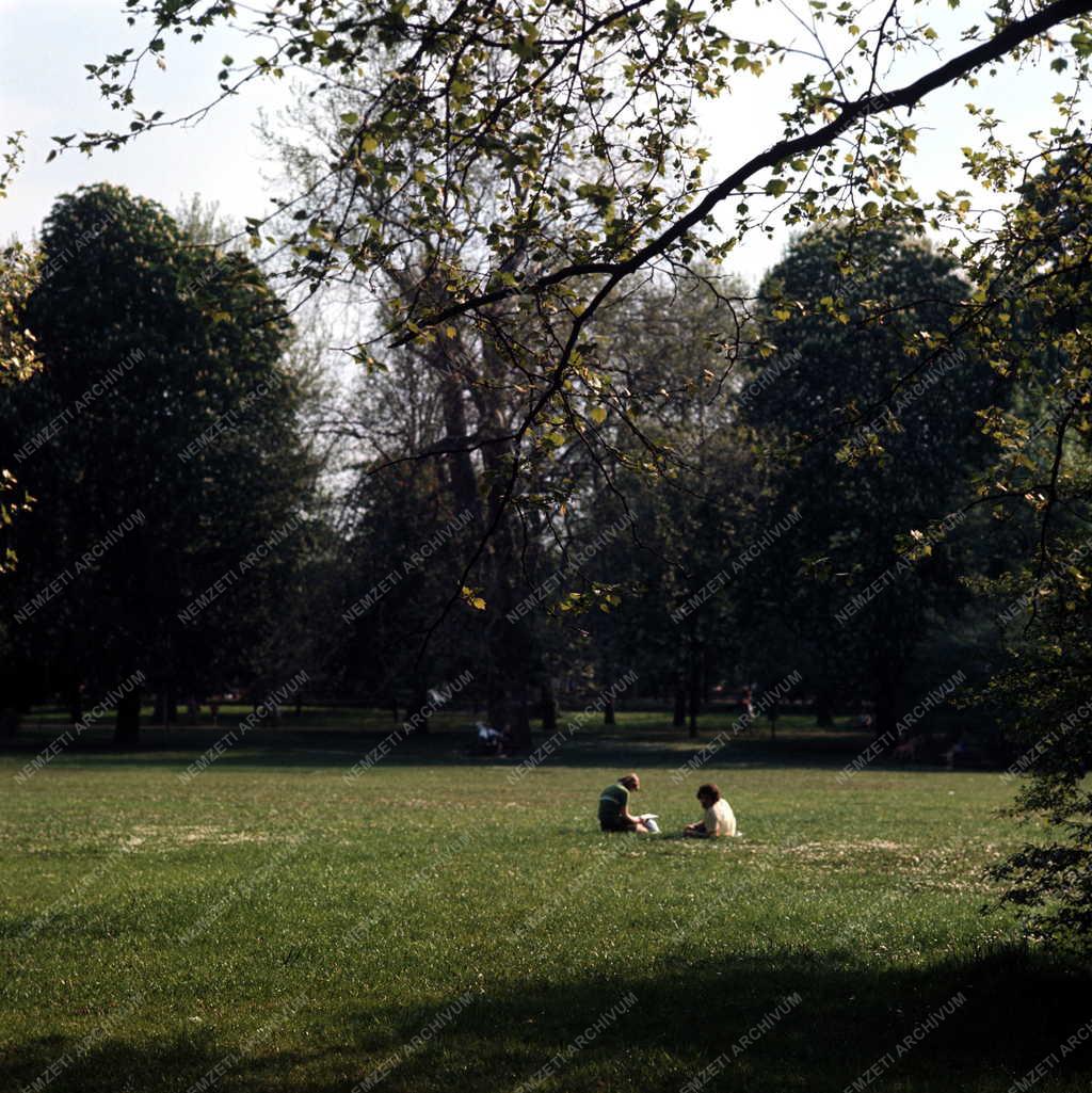 Szabadidő - Margitsziget