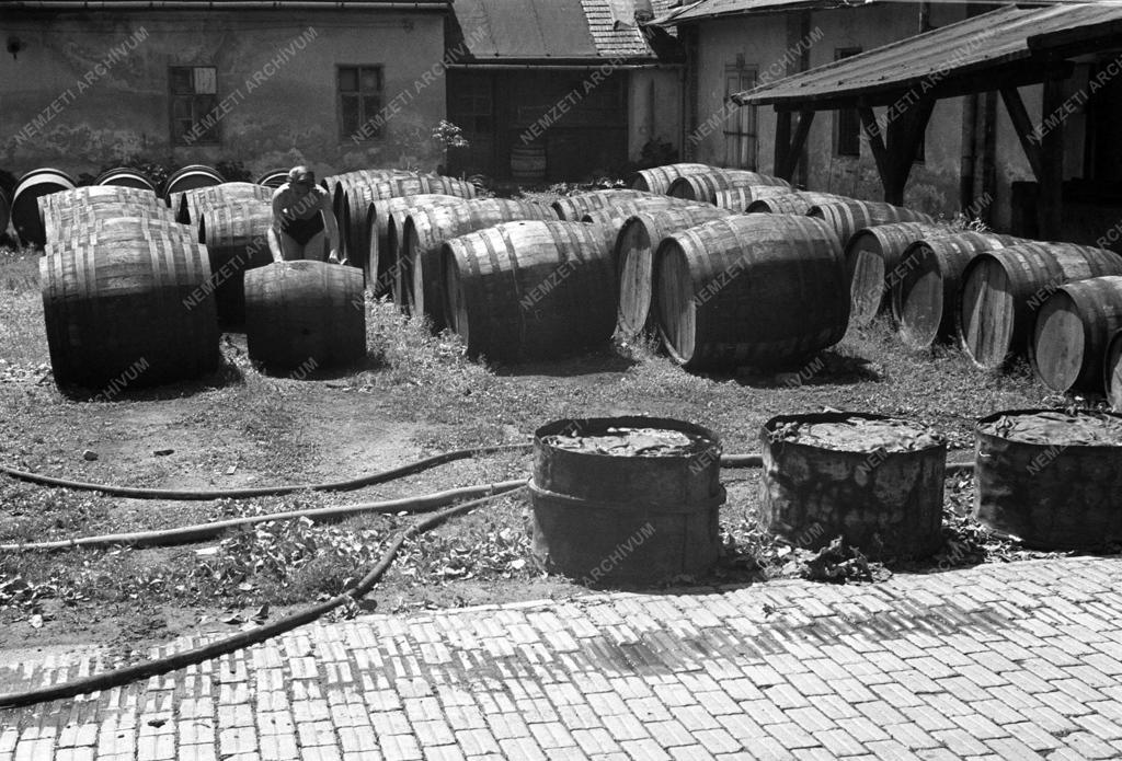 Ipar - Szeszgyár