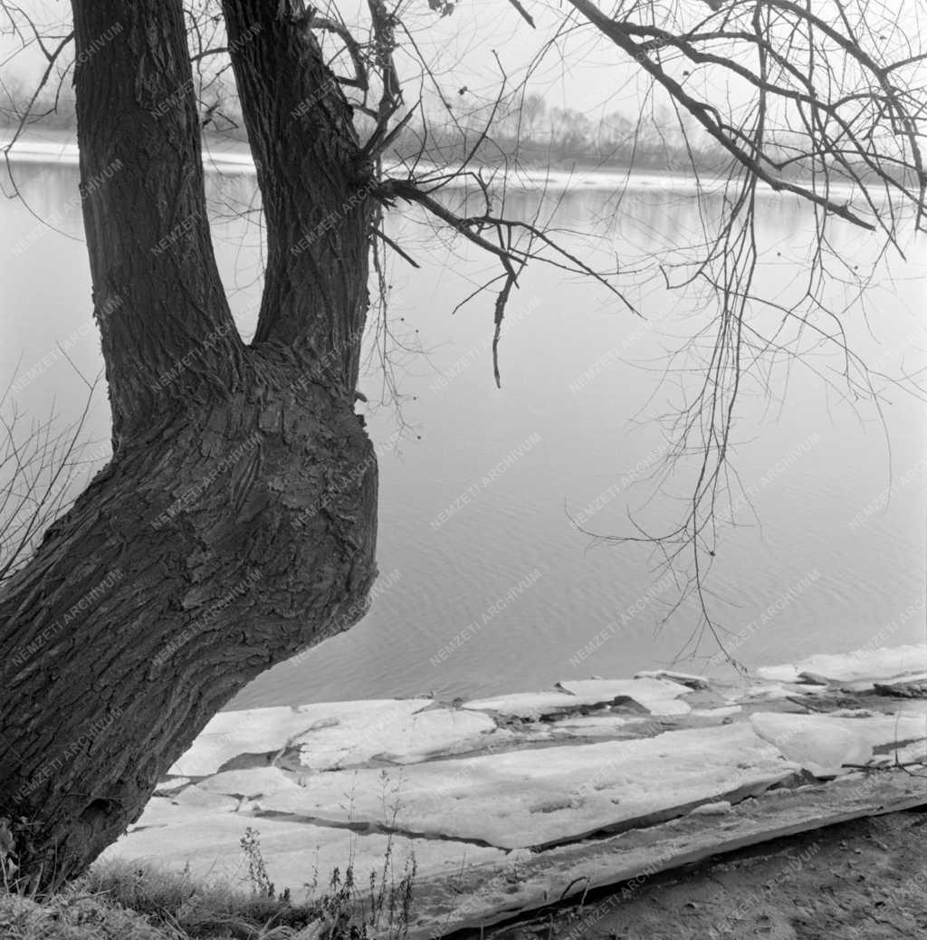 Természet - Tavaszi havas folyópart