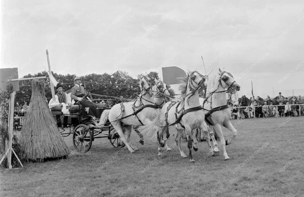Sport -  Magyar fogathajtó bajnokság - Első forduló