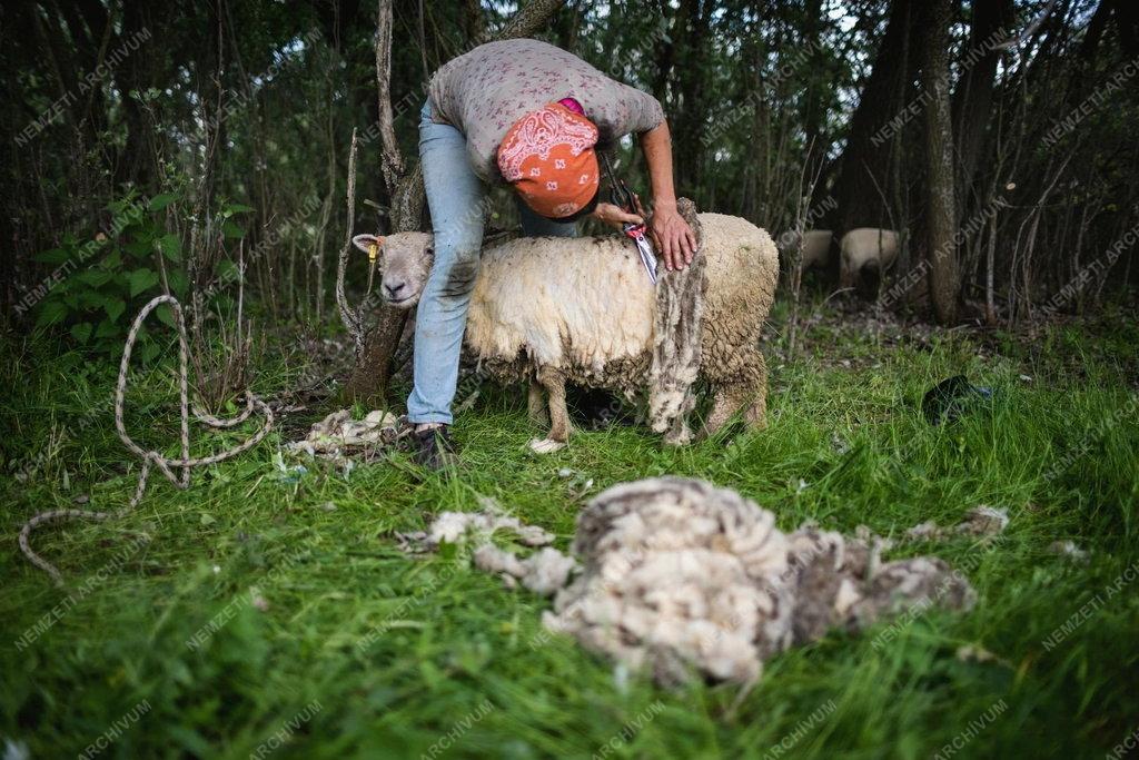 42. Magyar Sajtófotó Pályázat