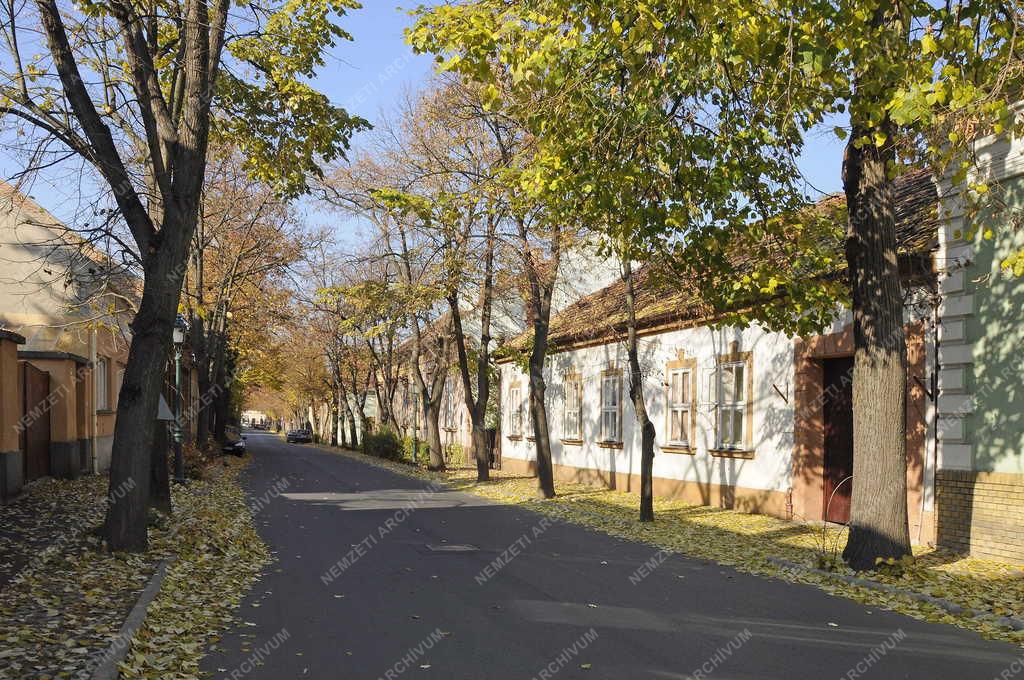 Gyula - Árpád utca