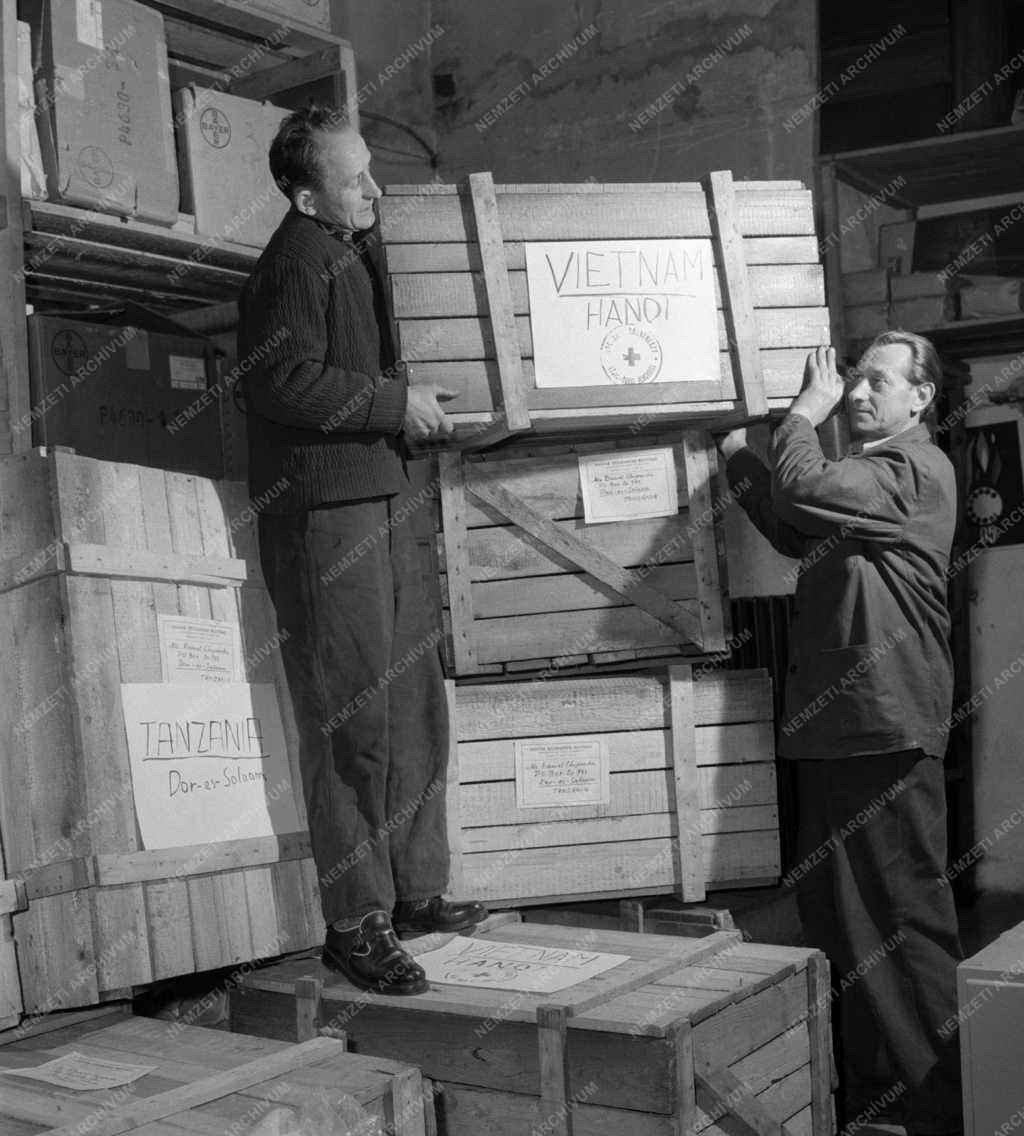 Segély - Karitatív szervezet - Magyar Vöröskereszt