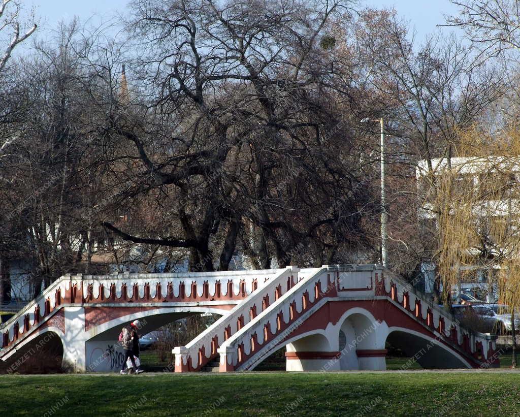 Városkép - Budapest - Műemlék gyalogos híd a Városligetben
