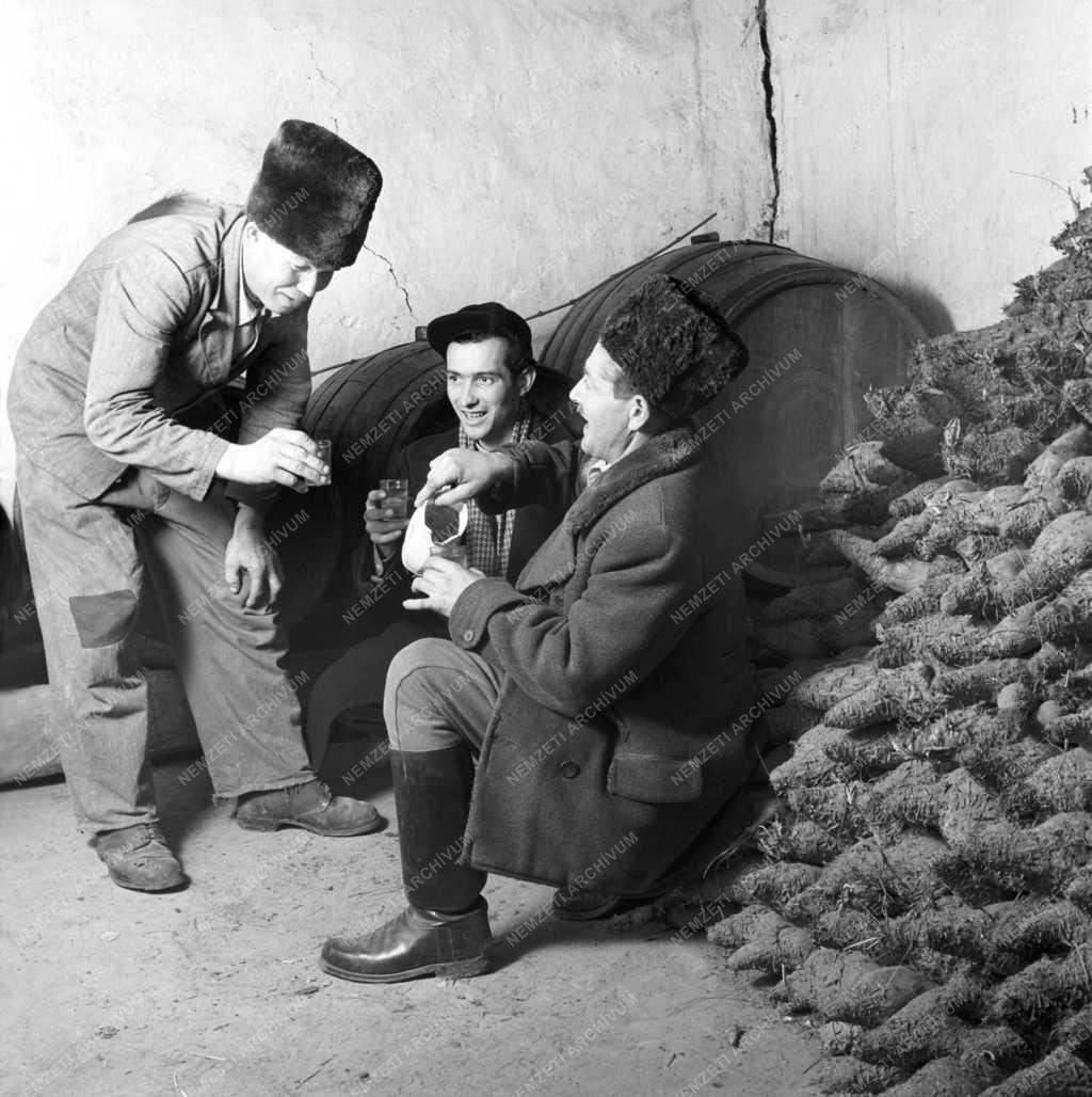 Mezőgazdaság - Zárszámadás a látrányi Alkotmány Tsz-ben