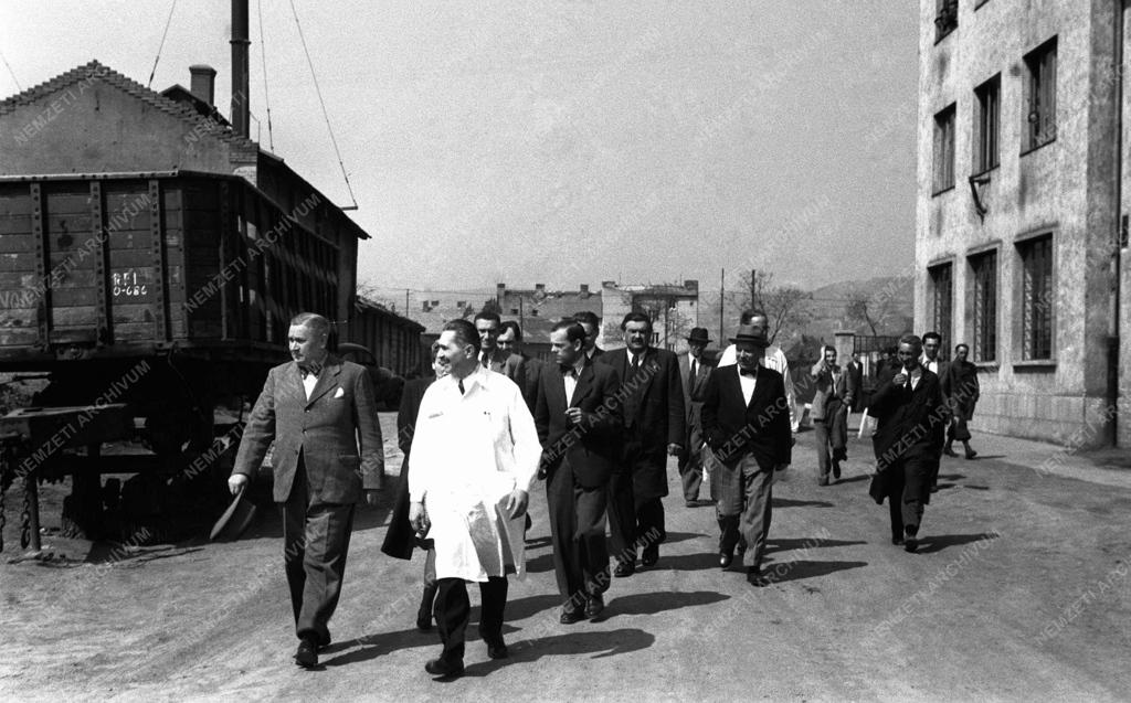 Gazdaság - Bárányos a Csonka Gépgyárban