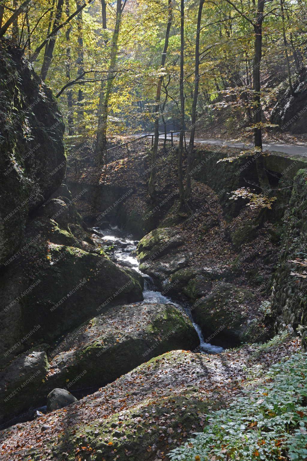 Tájkép - Visegrád - Az Apátkúti-patak 