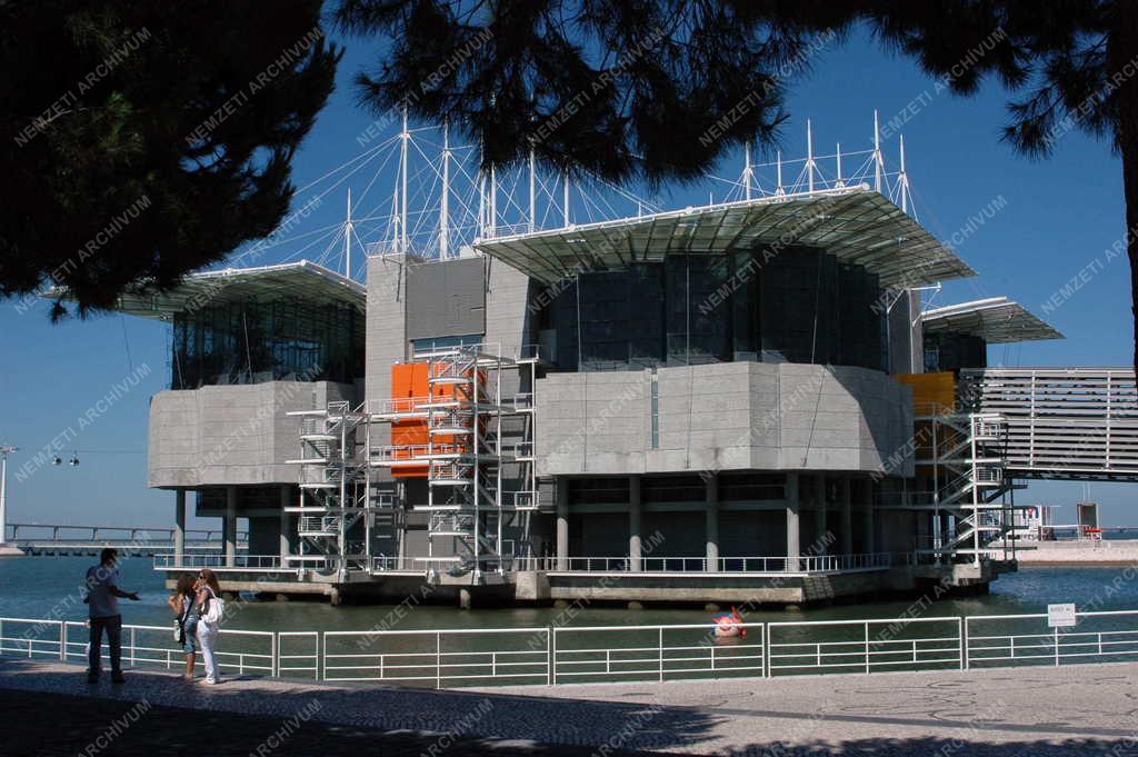 Portugália - Oceanarium - Lisszabon