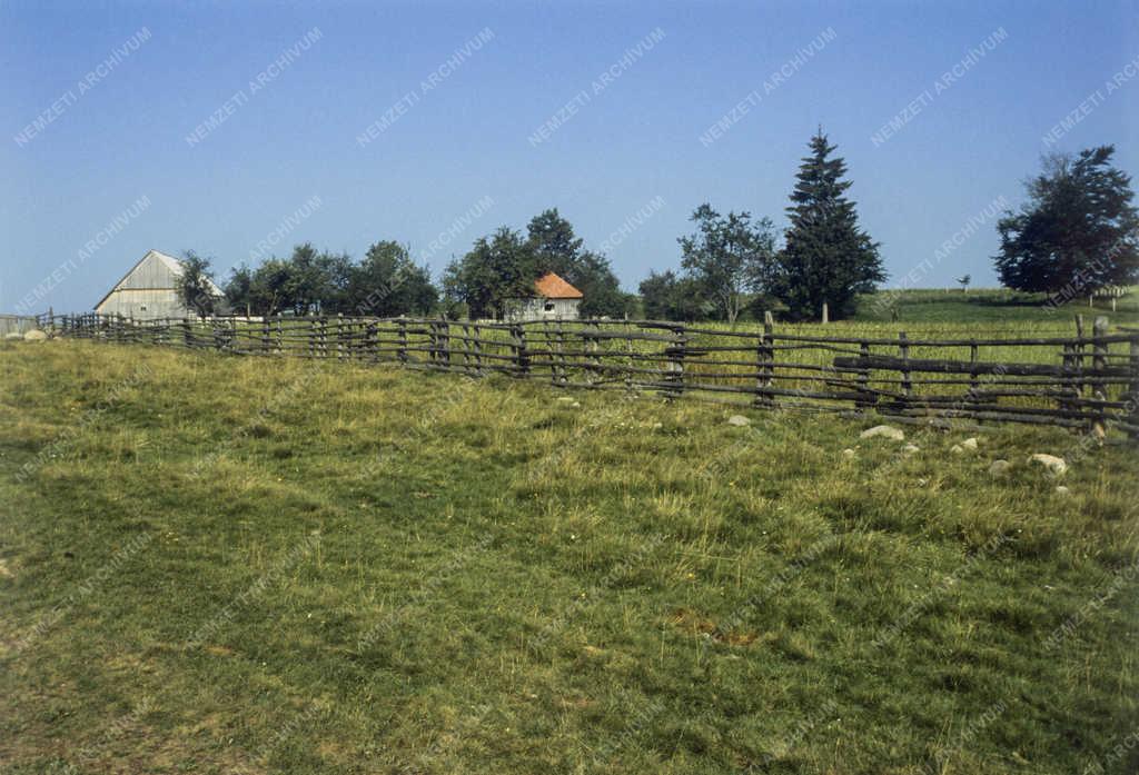 Táj, város - Román falvak - Alsósófalva