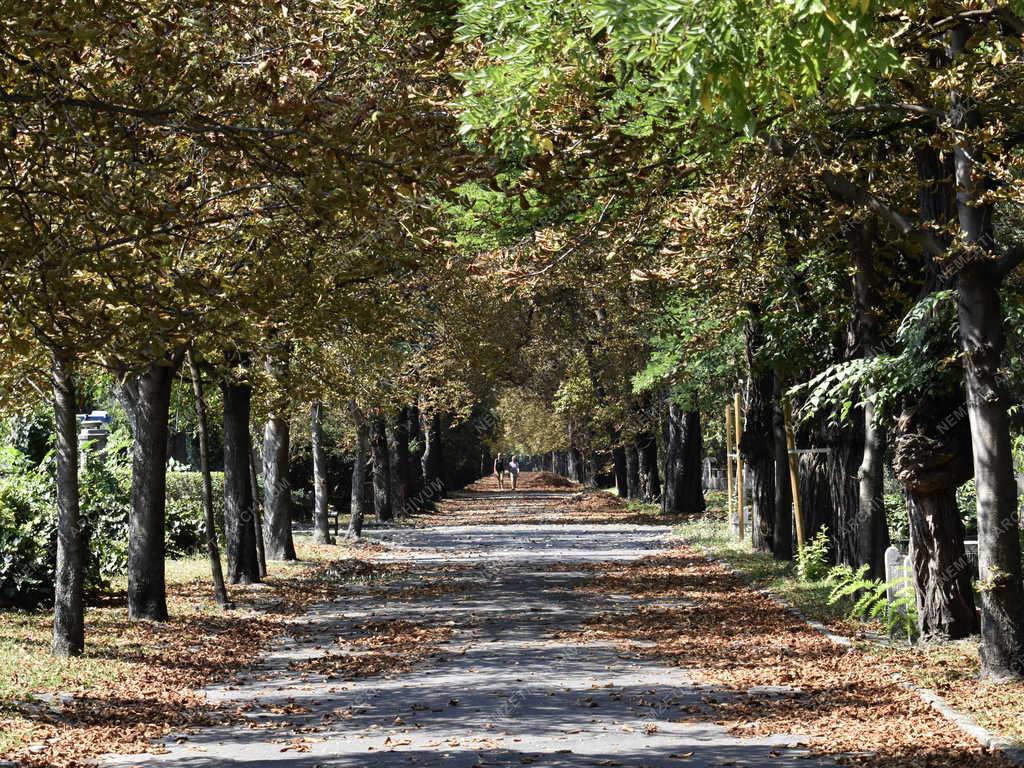 Temető - Budapest - Fiumei úti sírkert