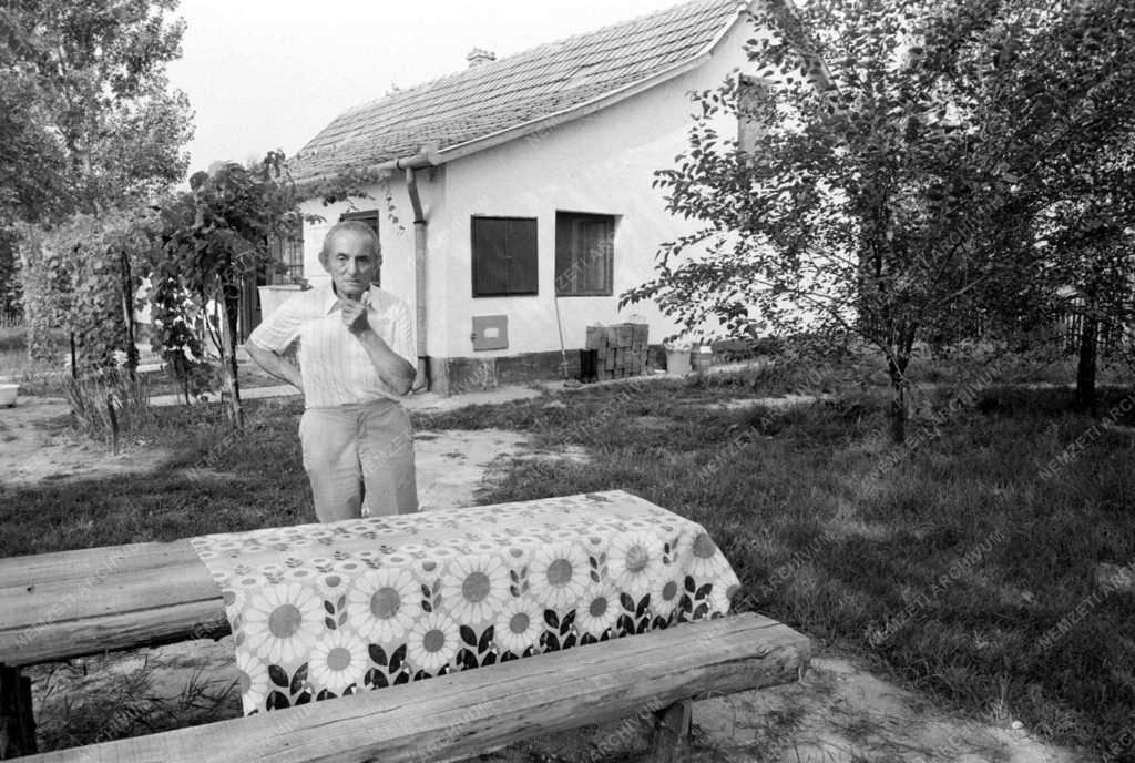 Balogh János  akadémikus