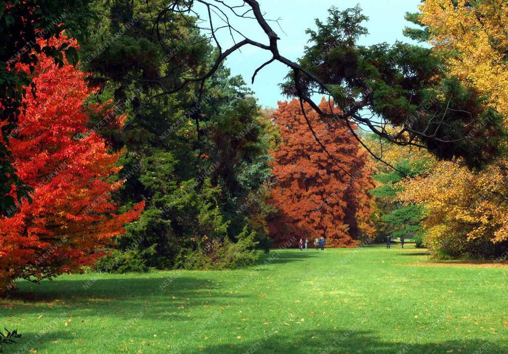 Természet - Szarvas - Arborétum