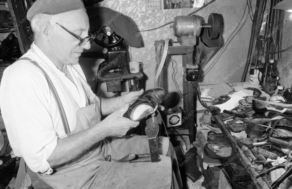 Életkép - Foglalkozás - Suszter