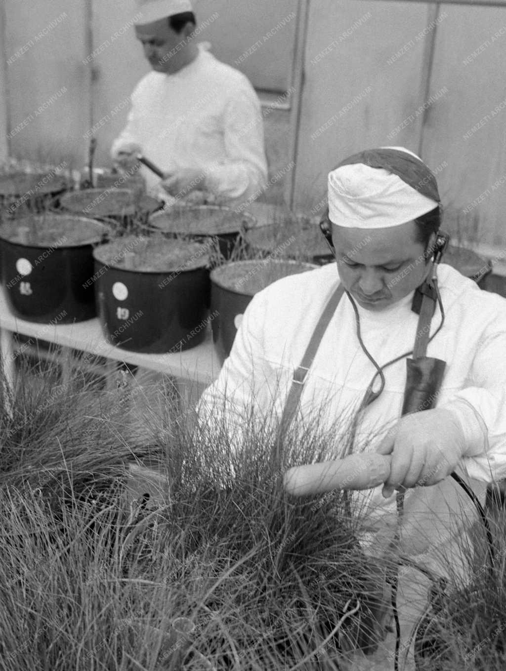 Tudomány - Mosonmagyaróvári Agrártudományi Főiskola Izotóplaboratórium