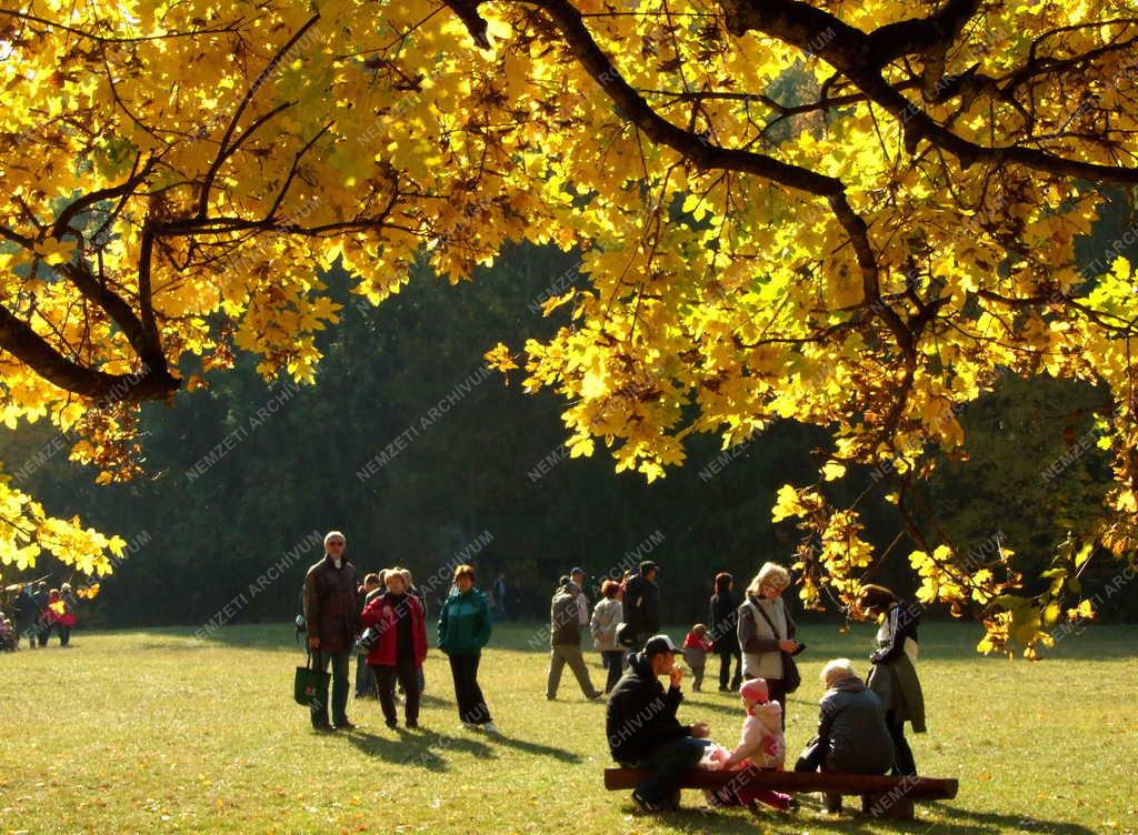 Ősz - Természetjárók a Szalajka völgyében