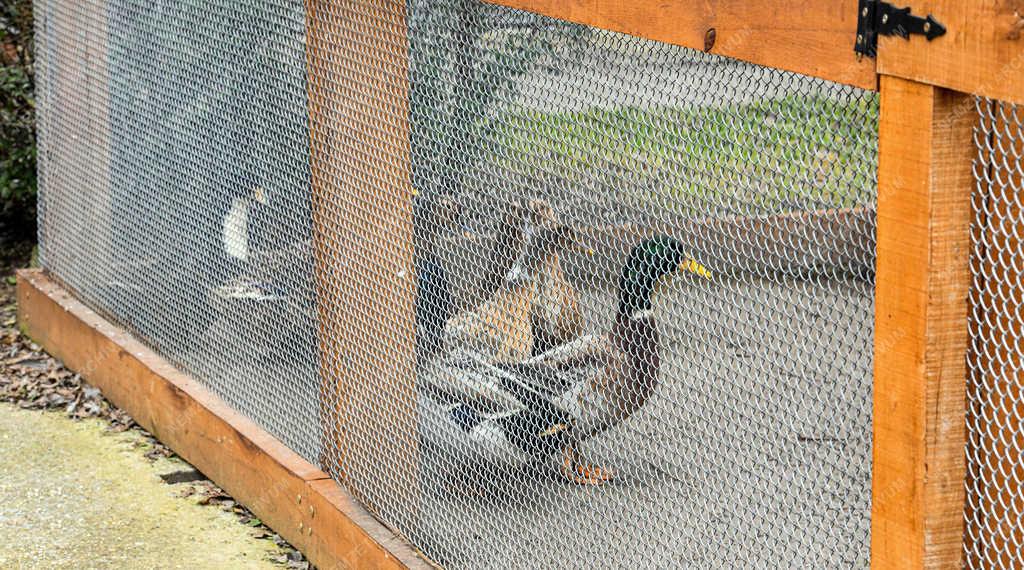Idegenforgalom - Hortobágy - Állatpark felújítás 