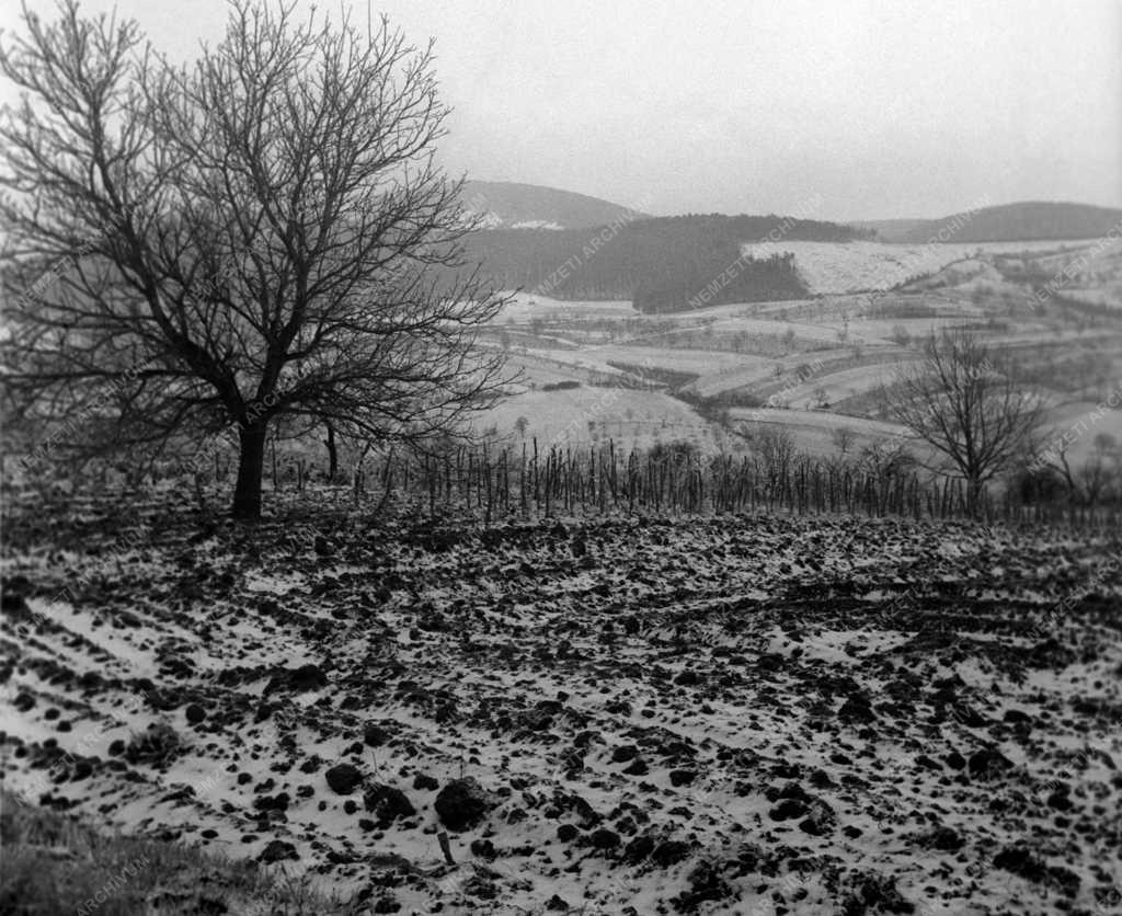Évszak - Tél - Nagybörzsönyi táj