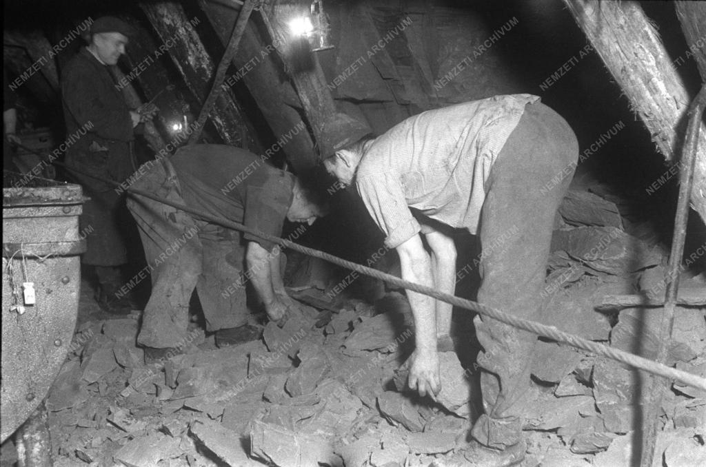 Bányászat - Salgótarjáni bányászgyűlés