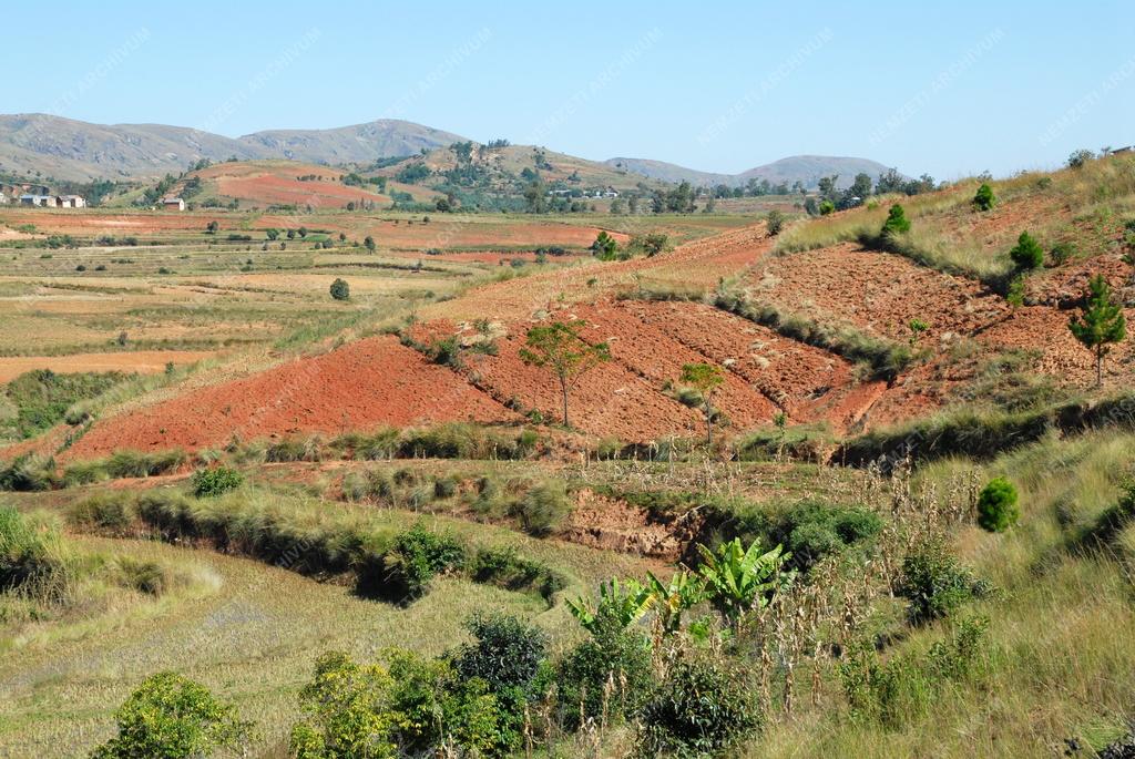 Madagaszkár - Antsirabe környéki tájkép