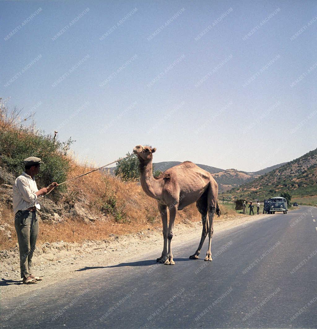 Tájkép - Törökország