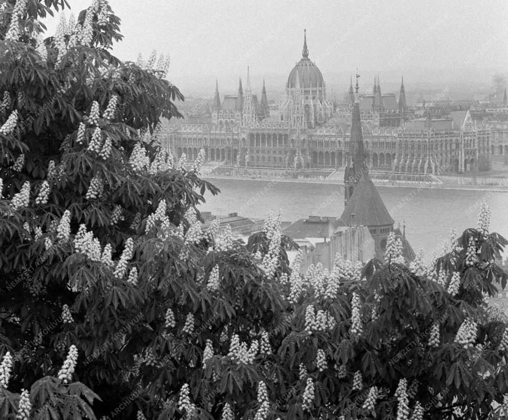 Városkép - Budapest