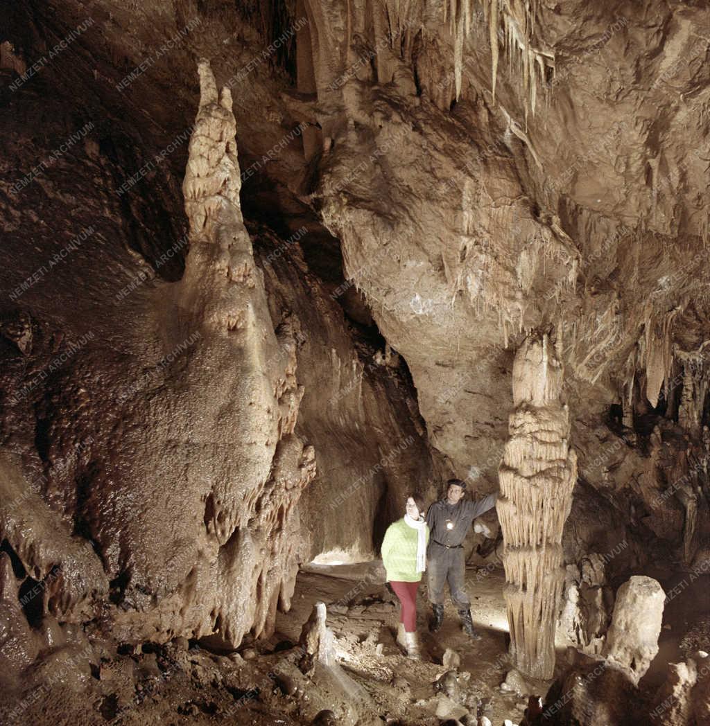 Természet - Baradla barlang