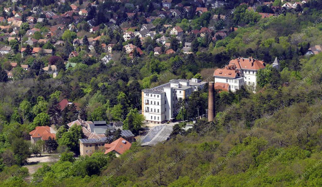 Tájkép - Egészségügy - Országos Korányi Tbc és Pulmonológiai Intézet 