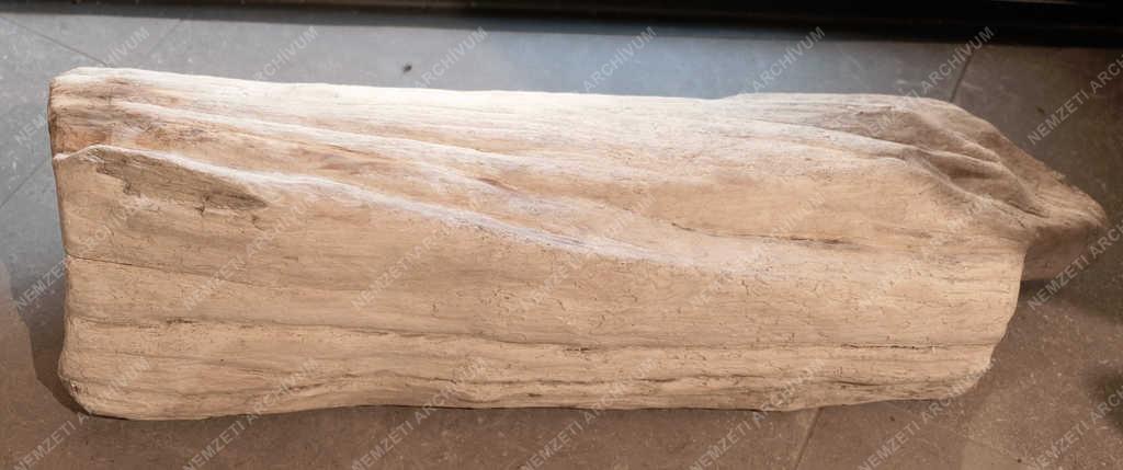 Természettudomány - Királyrét - Látogatóközpont