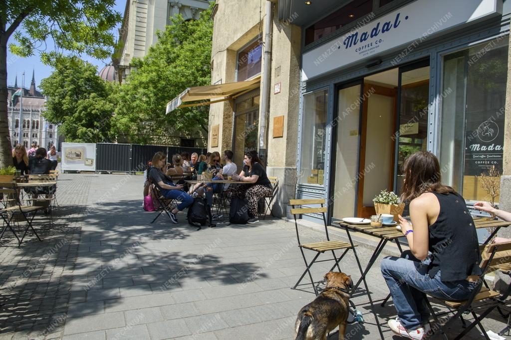 Szabadidő - Vendéglátás - Madal Cafe speciality kávézó