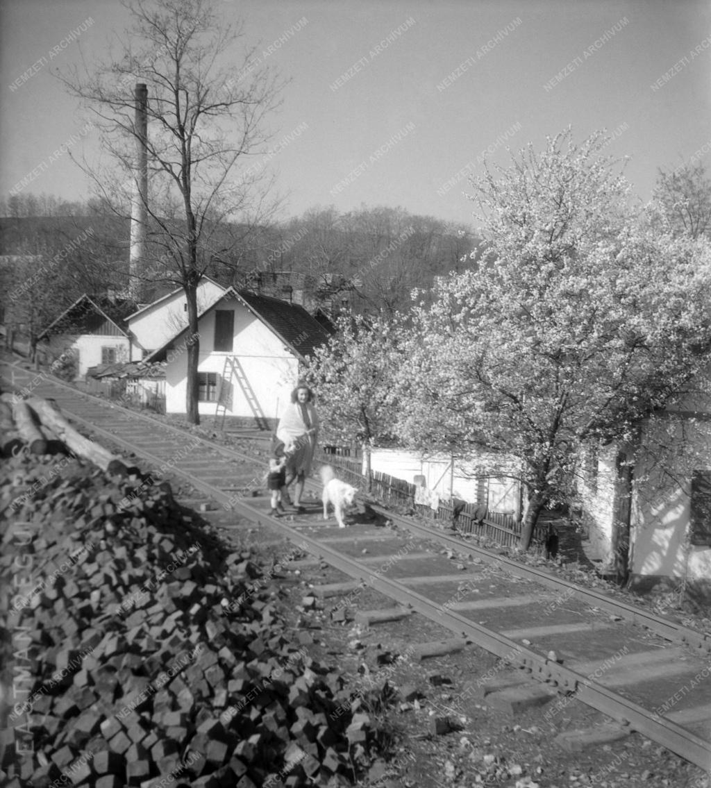 Település - Nagymányok
