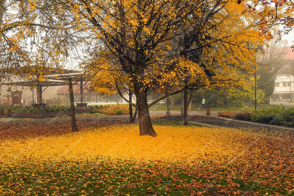 Időjárás - Debrecen - Párás, ködös idő