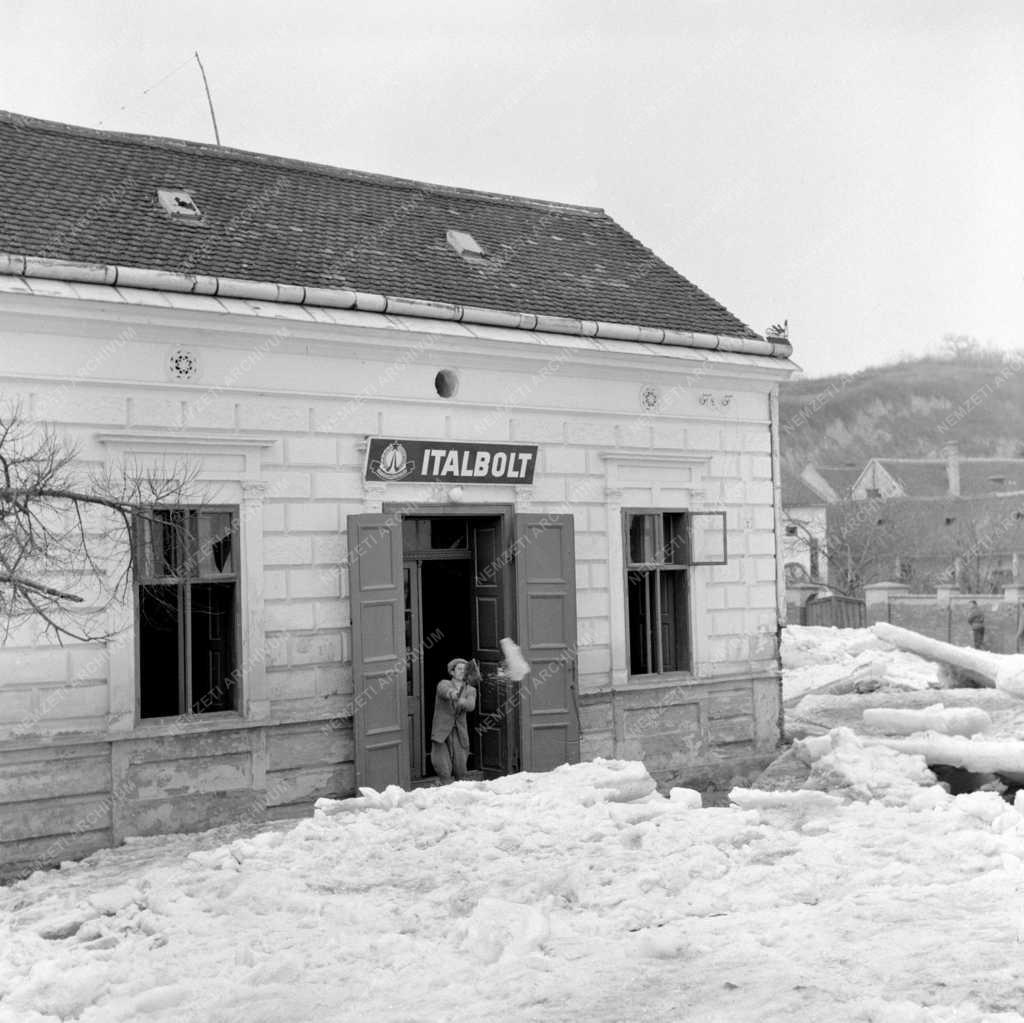 Árvíz - A dunai árvíz után