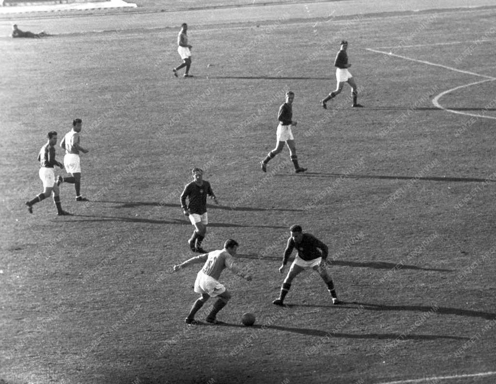 Sport - Labdarúgó mérkőzés