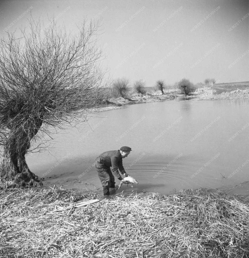 Mezőgazdaság - Halászat - Haltenyésztés