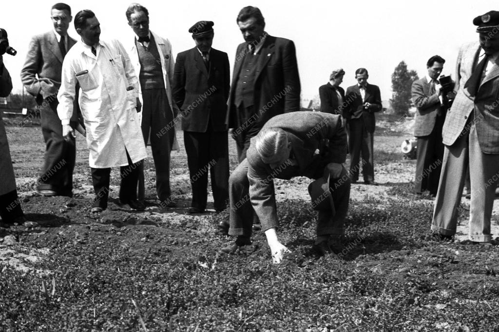 Gazdaság - Bárányos Károly a Csonka Gépgyárban