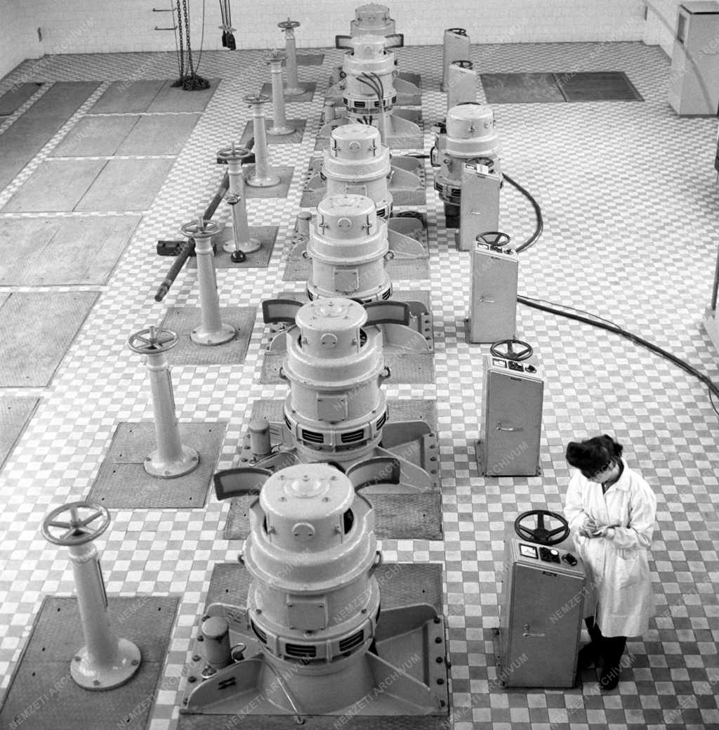 Környezetvédelem - Káposztásmegyeri felszíni vízmű