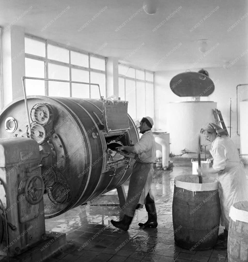 Mezőgazdaság - Bácsbokodi tejüzem - Köpülőgép