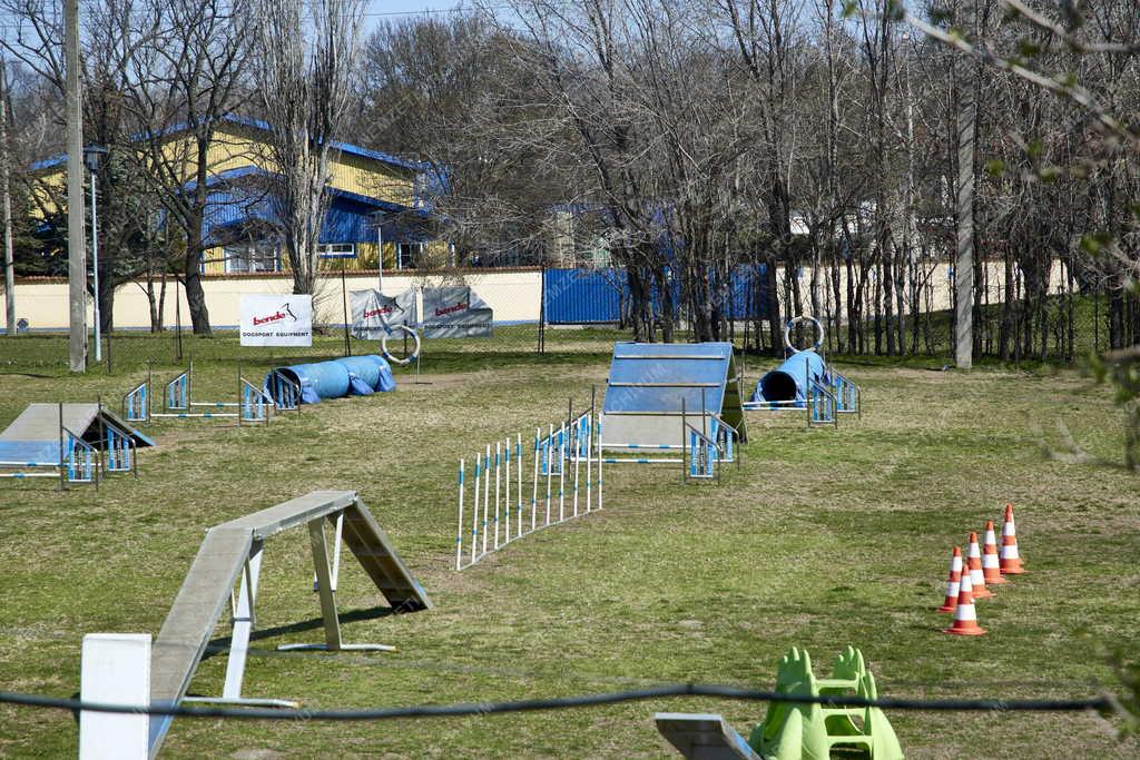 Sport - Budapest - Sportliget Kőbányán - Happy Dog Kutyaiskola