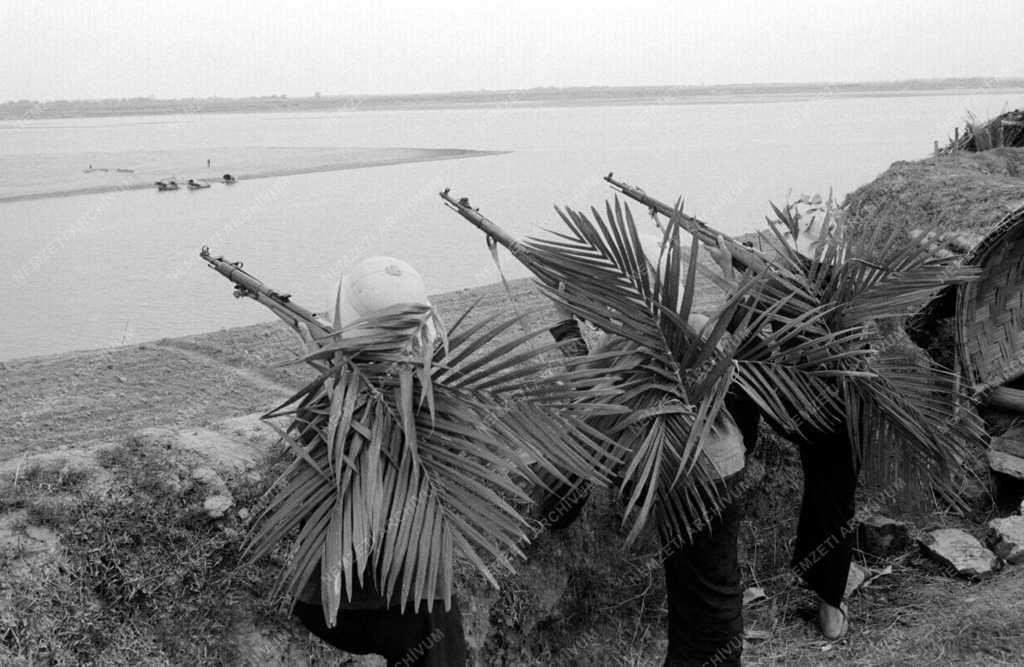 Vietnami háború - Milicista egységek