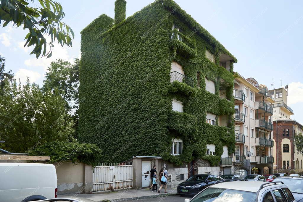 Városkép - Budapest - Lakóház vadszőlővel befuttatott homlokzattal