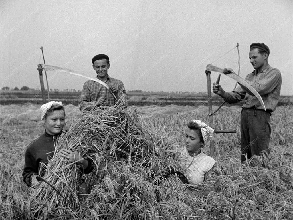 Mezőgazdaság - Mezőgazdasági munka