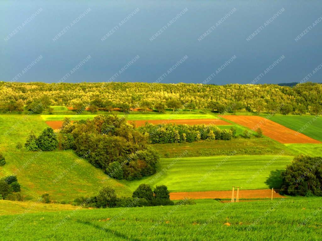 Csonkahegyhát - Tájkép