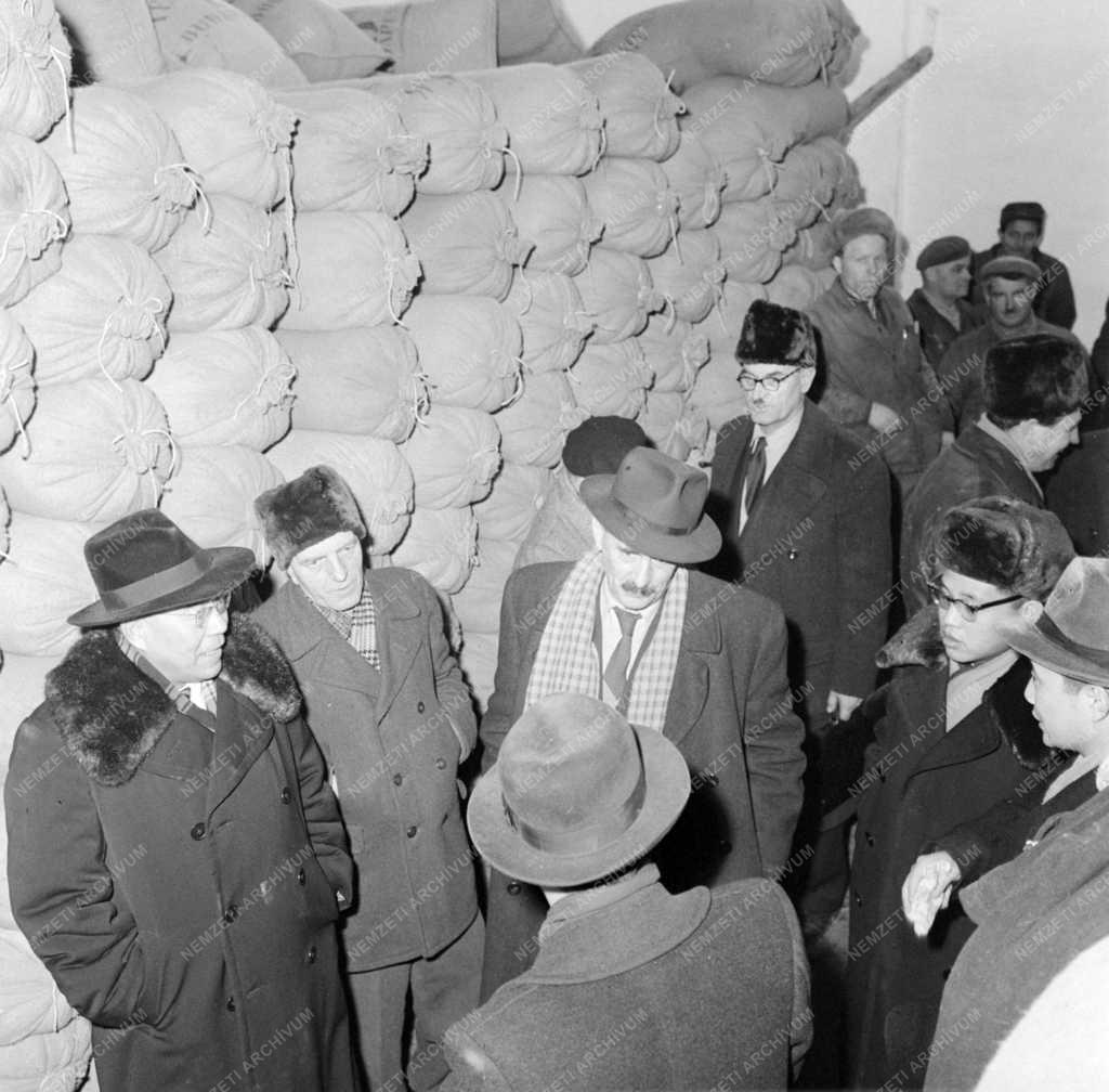 Külkapcsolat - Küldöttek a Dalmandi Állami Gazdaságban